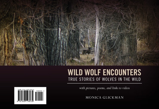 Wild Wolf Encounters Sweet Planet Poems