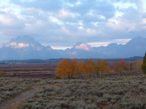 willow flats in Tetons